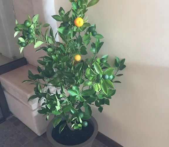 White House Family Zone バルチク