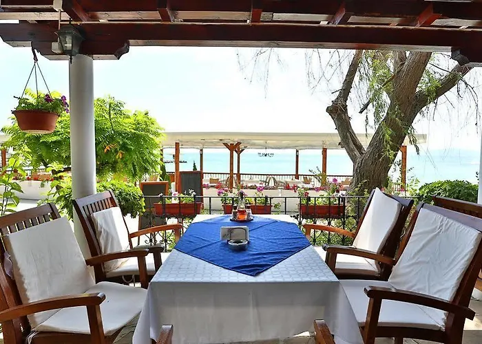 White House Family Zone 3*