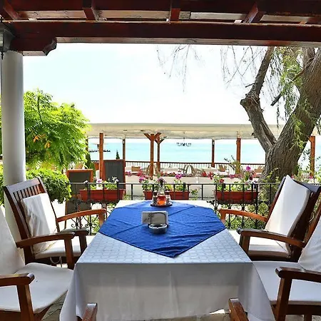 White House Family Zone 3*